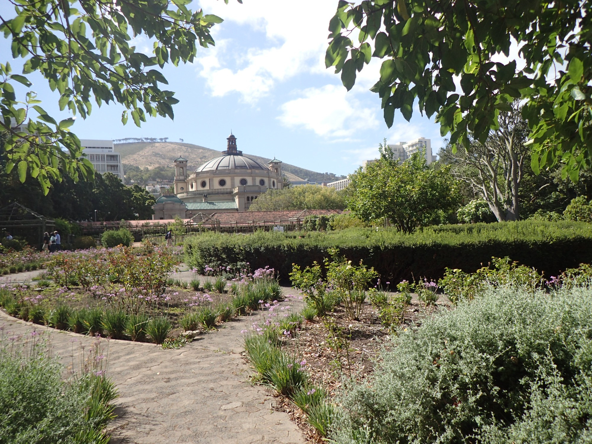 Company's Garden, ЮАР