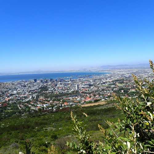 Table Mountain Lookout, South Africa