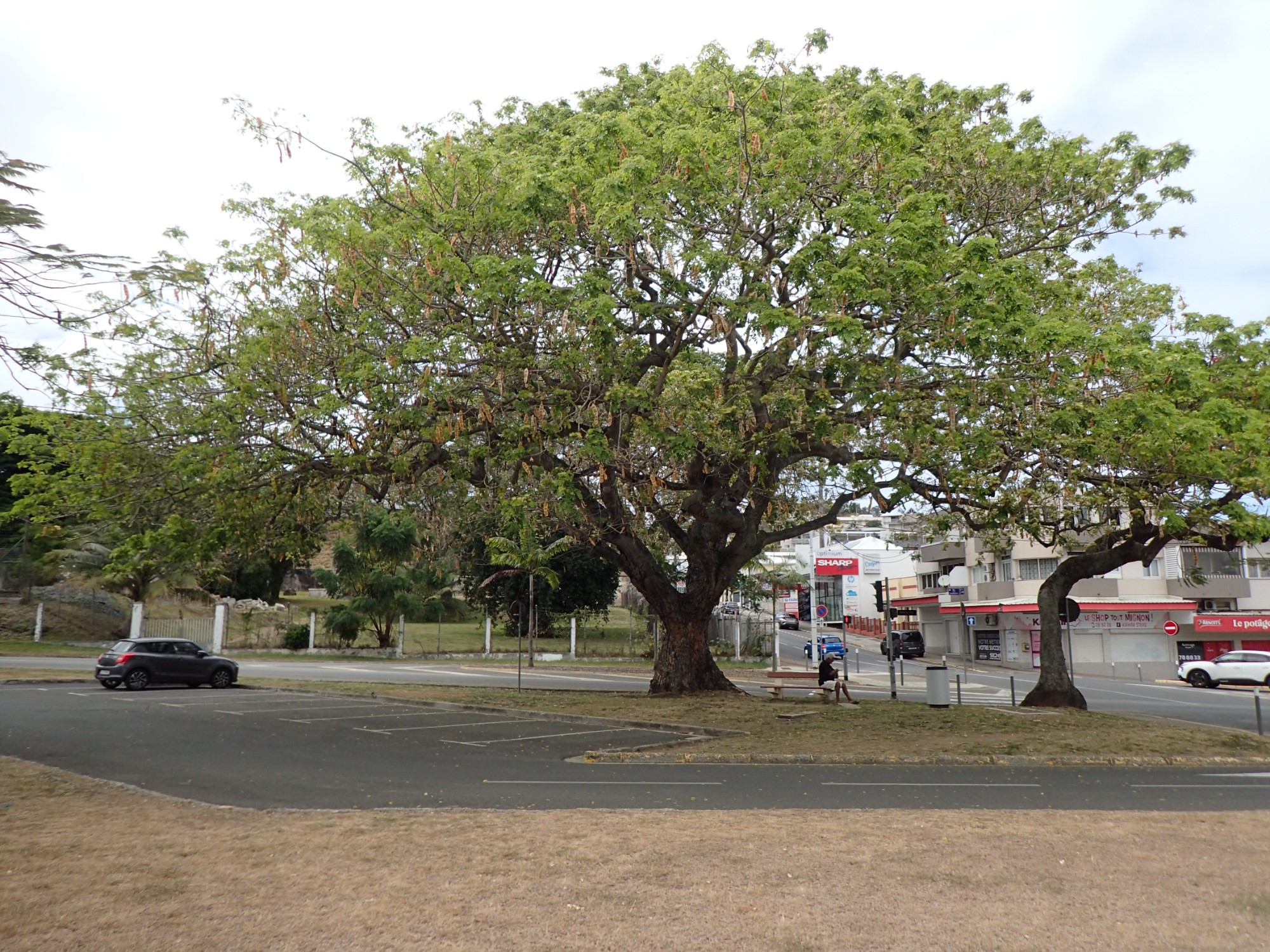 Place Bir-Hakeim, New Caledonia