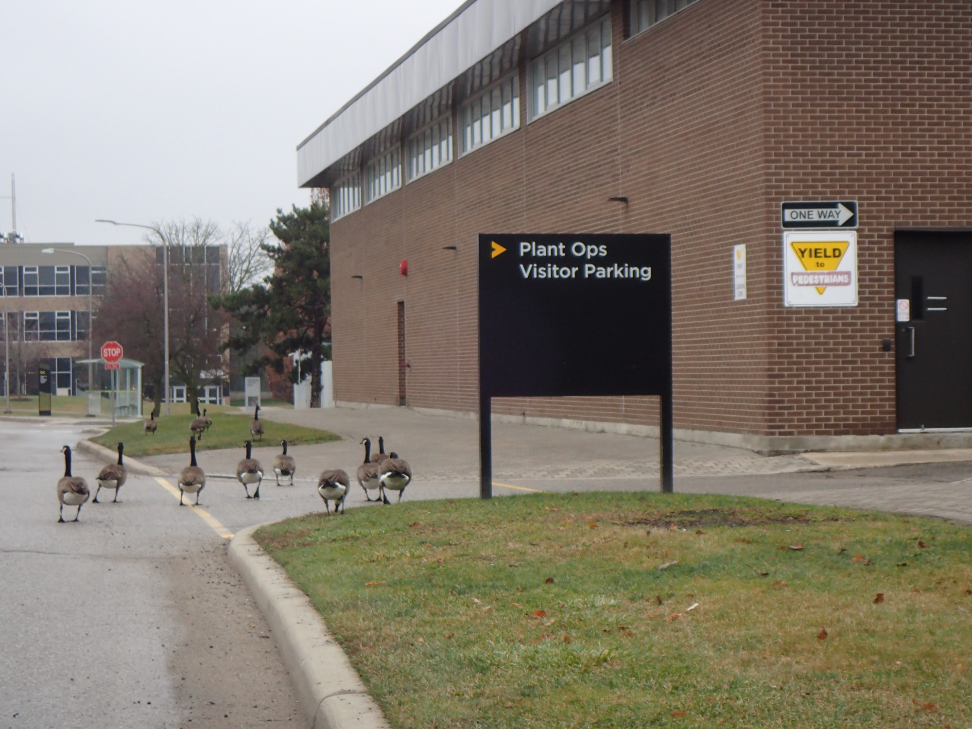 University of Waterloo, Канада