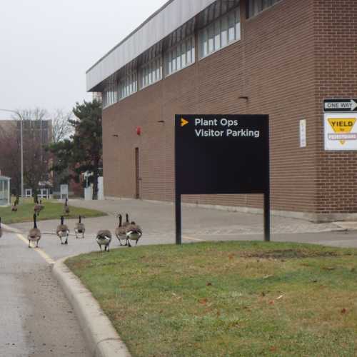 University of Waterloo, Канада