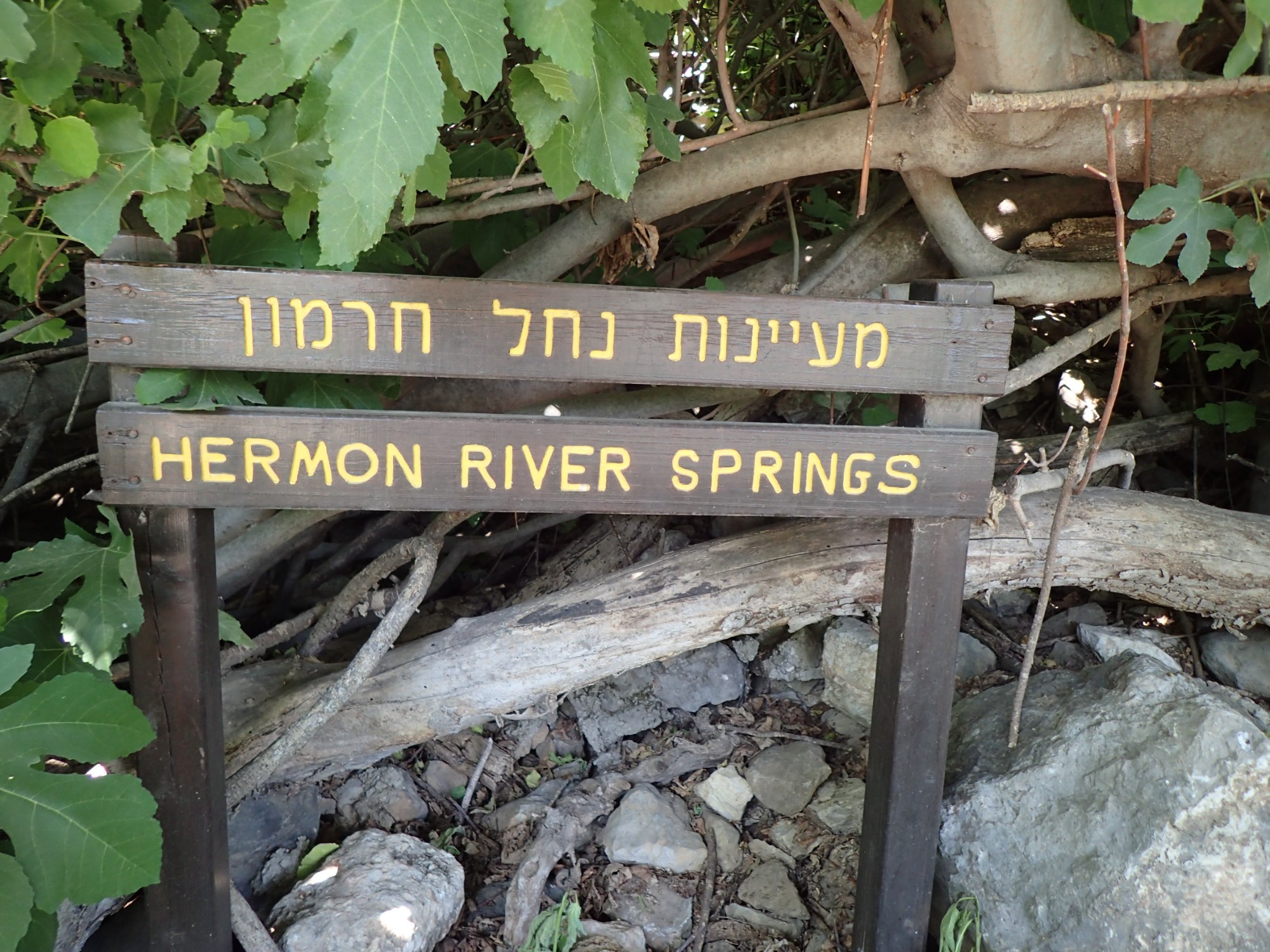 Hermon River Springs, Israel