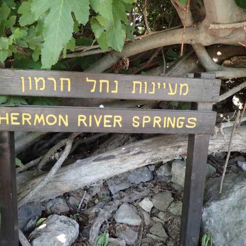 Hermon River Springs, Israel