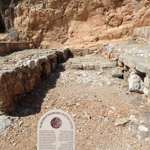 Tomb of Sacred Goats, Израиль