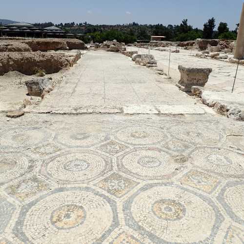 Sepphoris Mosaic Group, Israel