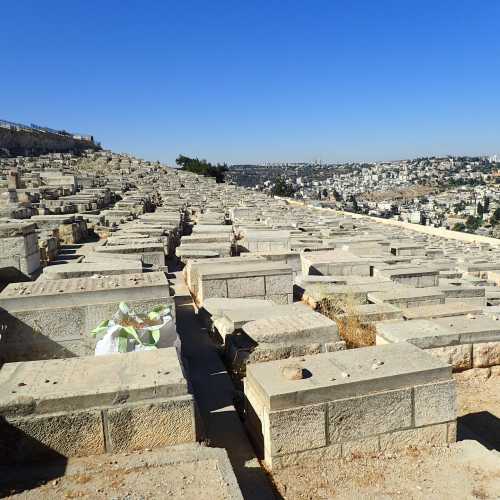 Mount of Olives Cementery, Израиль