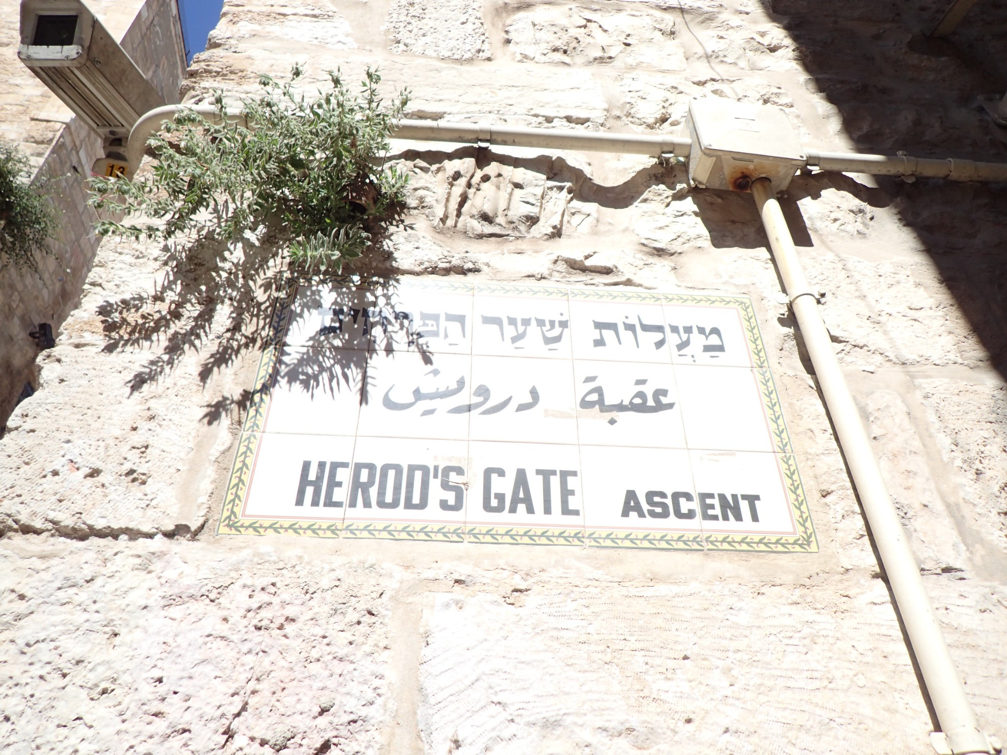 Herod's Gate, Israel