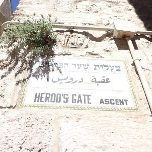 Herod's Gate, Израиль