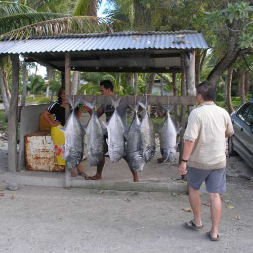 Roadside Fish Market, French Polynesia