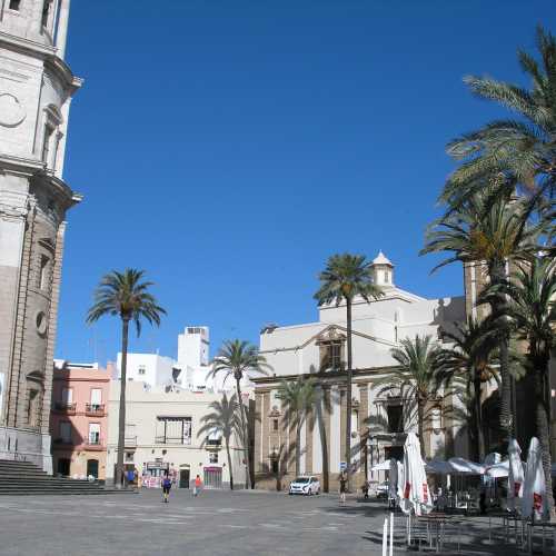 Plaza de la Catedral photo