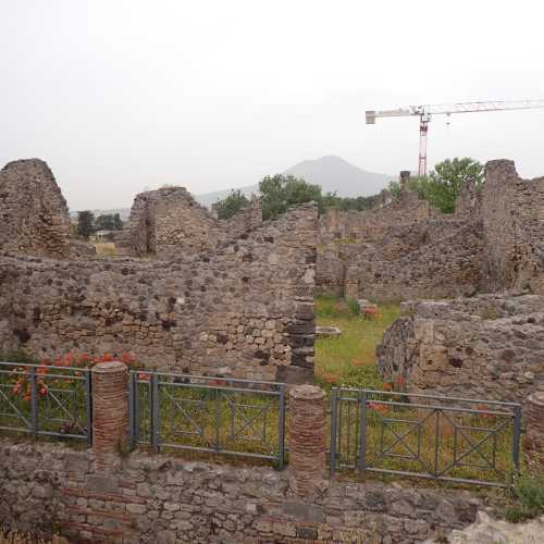 Case di Romolo e Remo, Trittolemo, L. Calpurnio Diogene