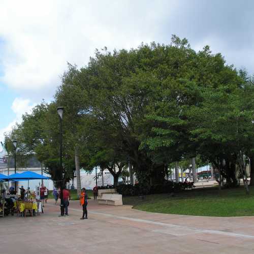 Parque Municipal de Cozumel, Mexico