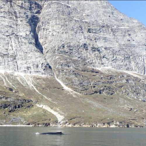 Whales Site, Гренландия
