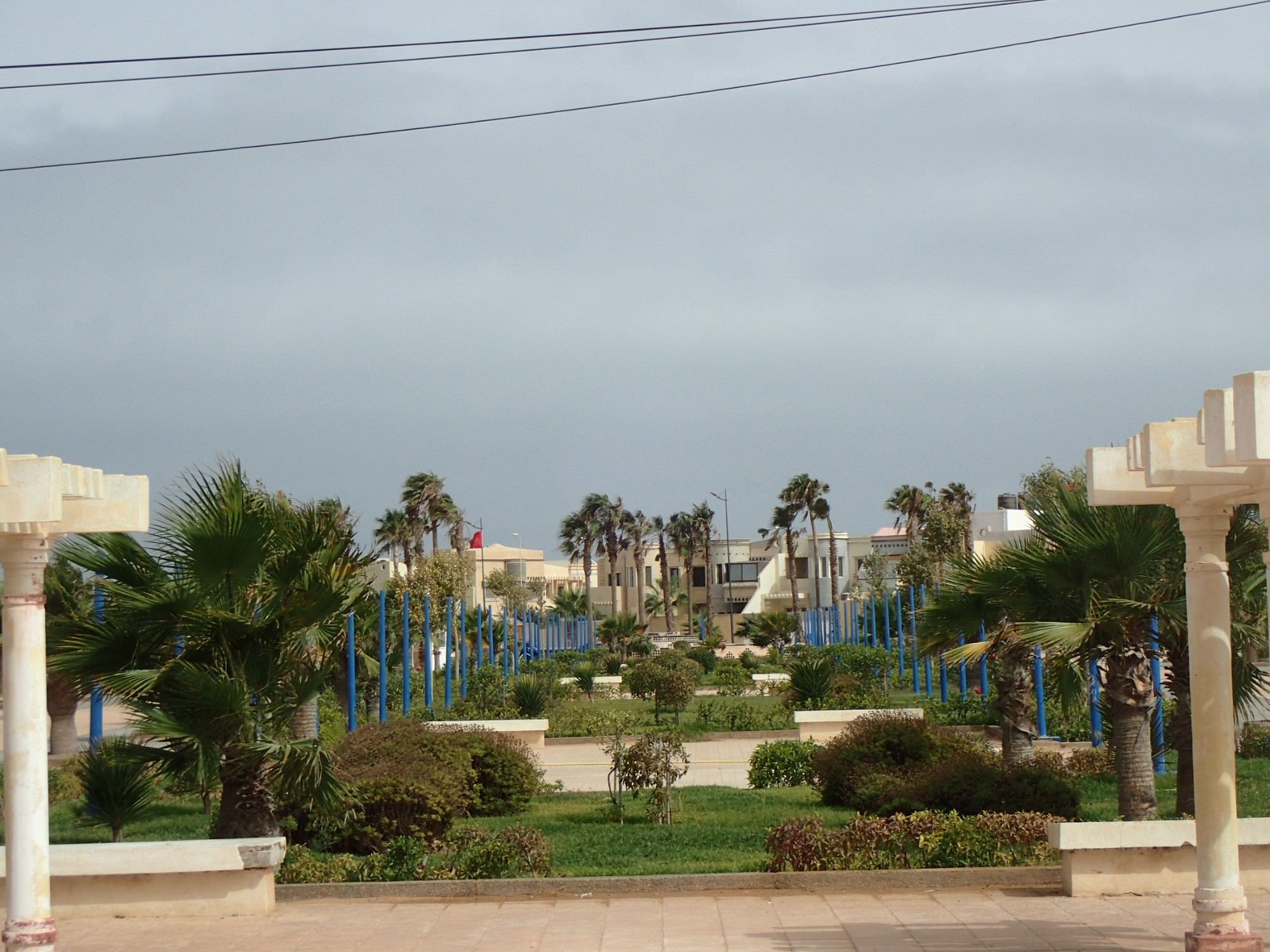 Jardin Municipal, Western Sahara