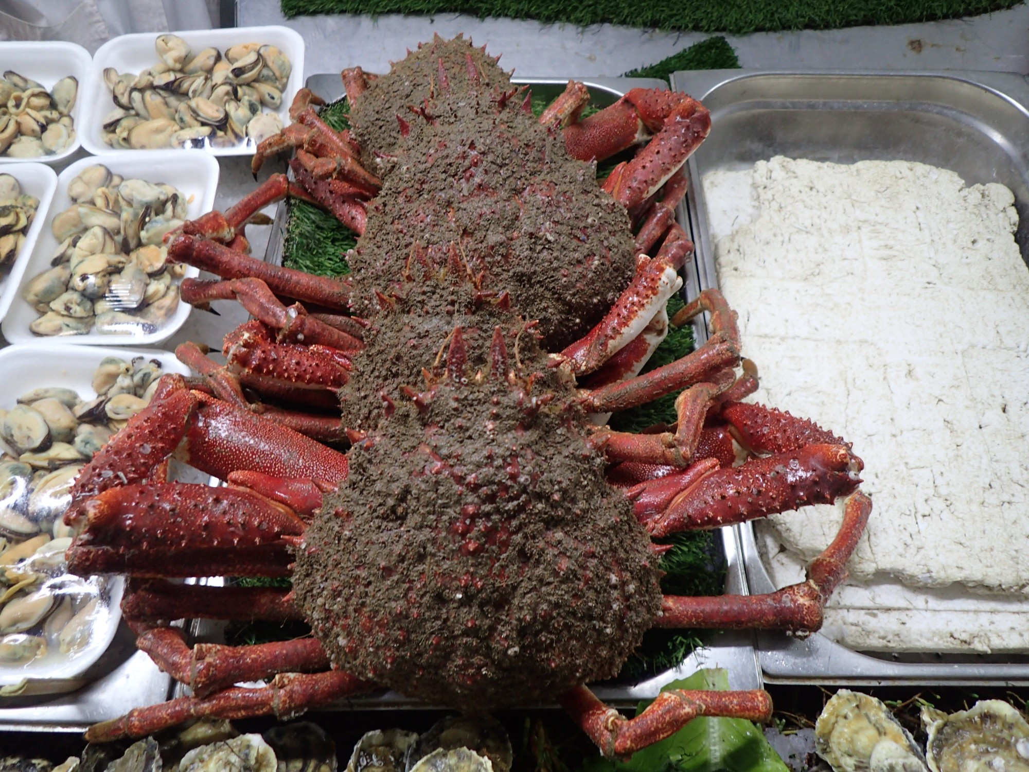 Central Market, Morocco