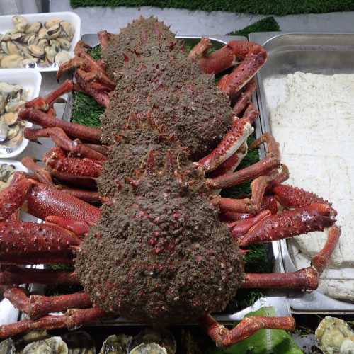 Central Market, Morocco