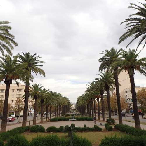 Avenue Hassan II, Morocco