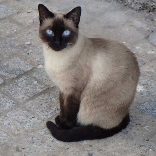 Касабланка, Марокко