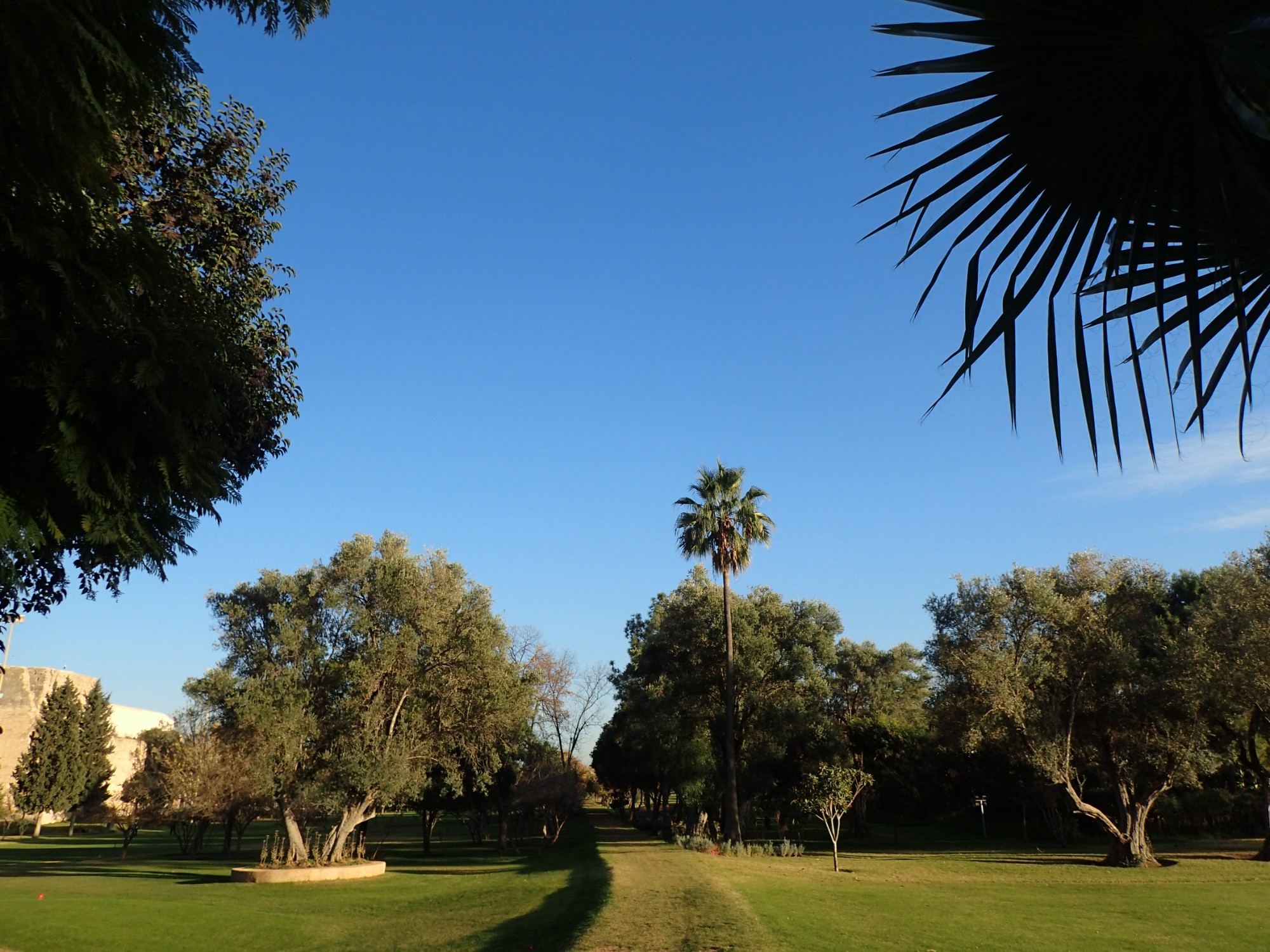 Royal Golf Park, Марокко