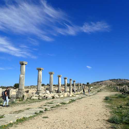 House of the Labours of Hercules, Morocco