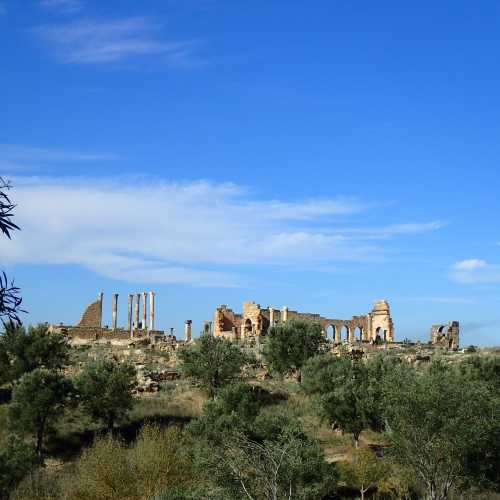 Volubilis Ancient Roman City, Марокко