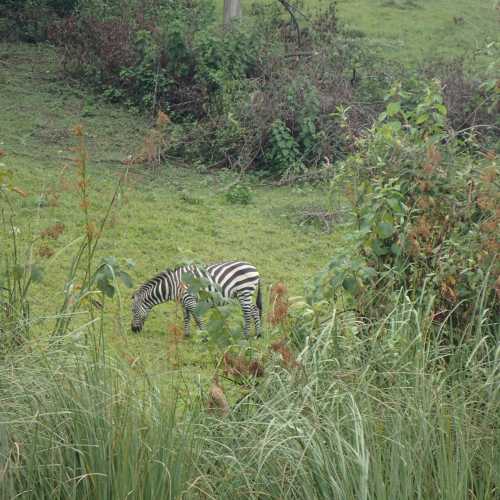 Kyahugye Island, Uganda