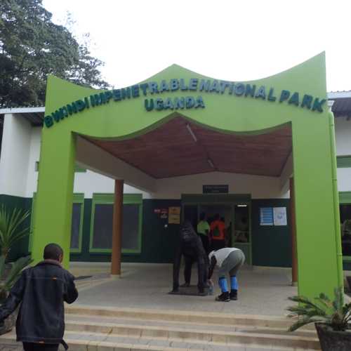 Bwindi Impenetrable National Park, Uganda