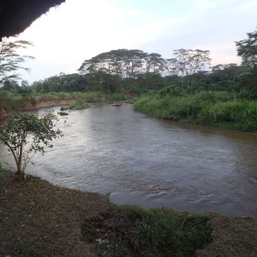 Ntungwe River, Uganda