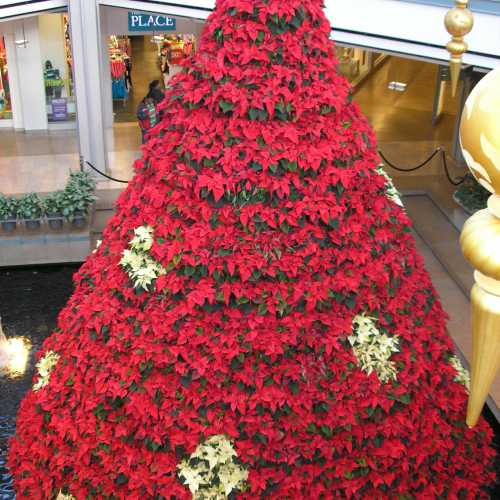 Балтимор photo