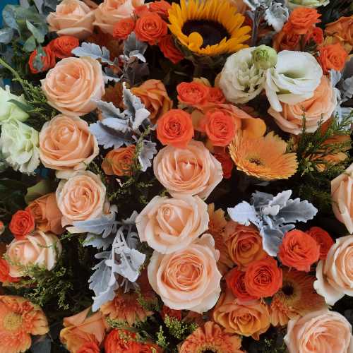 Hong Kong, Hong Kong