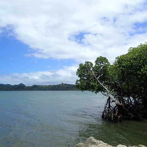 Wainadoi Jetty, Фиджи