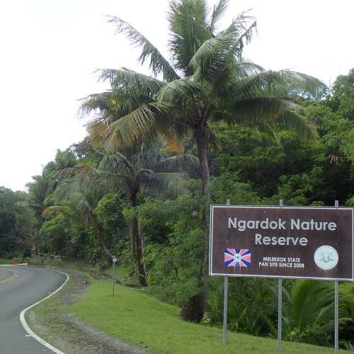 Ngerdok Nature Reserve, Палау