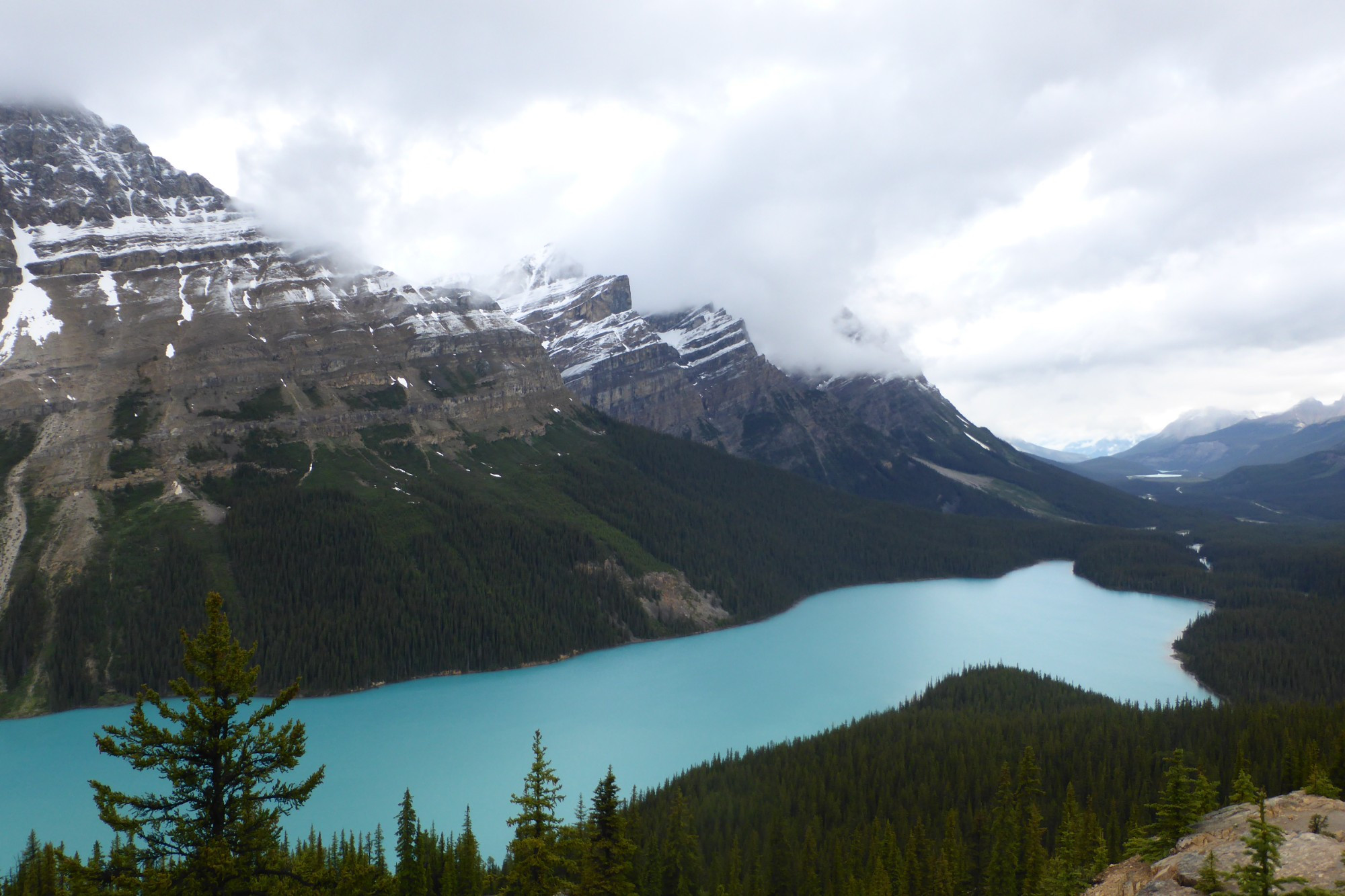 Peyto Lake Panorama View, Canada