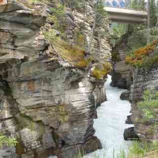 Athabasca falls - Viewpoint photo