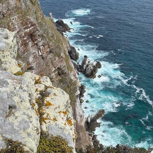 Cape of Good Hope, South Africa