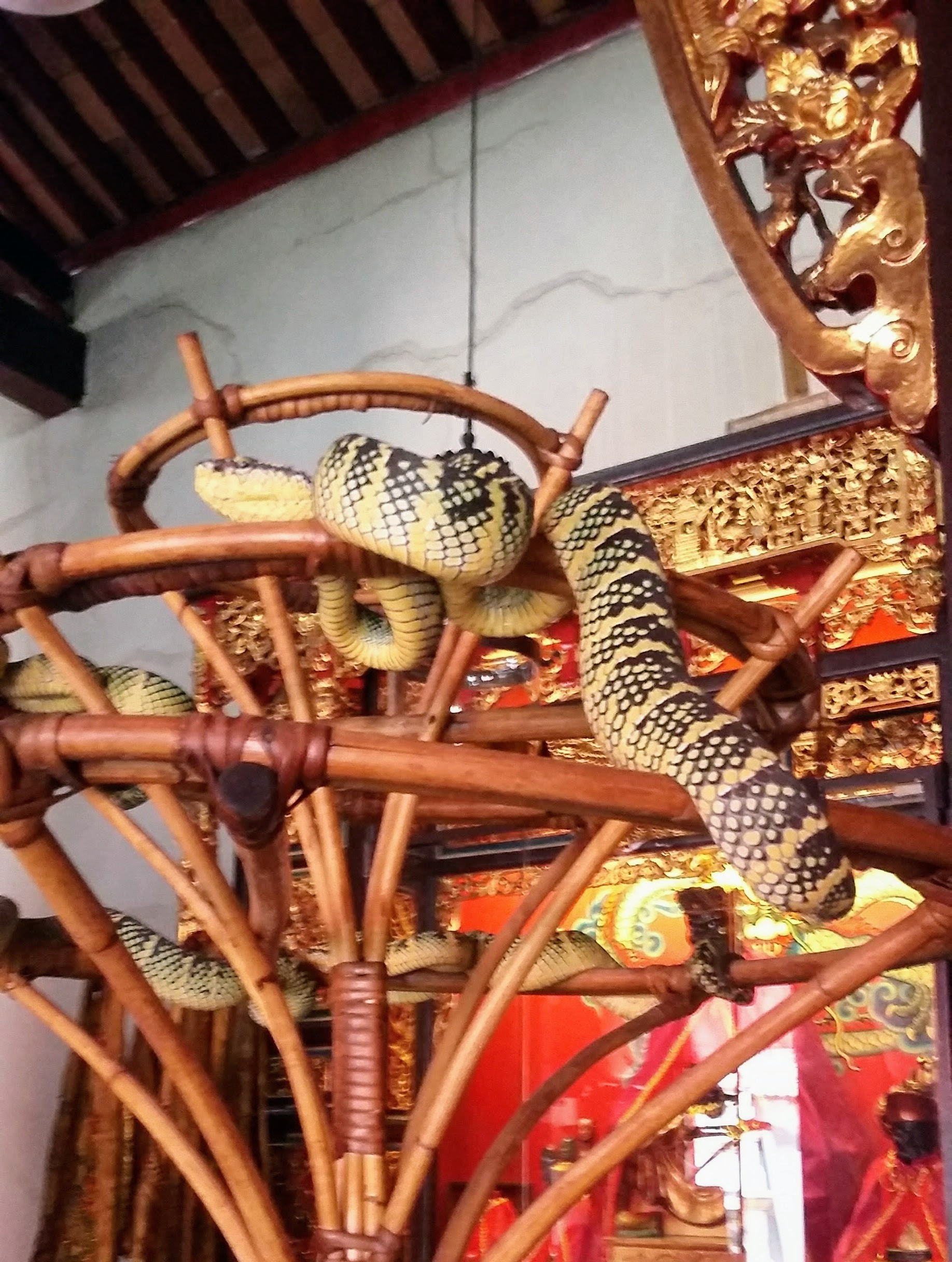 Snake Temple, Penang, Malaysia 