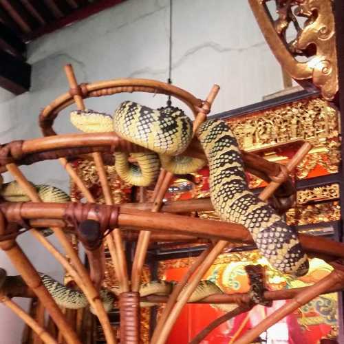 Snake Temple, Penang, Malaysia 