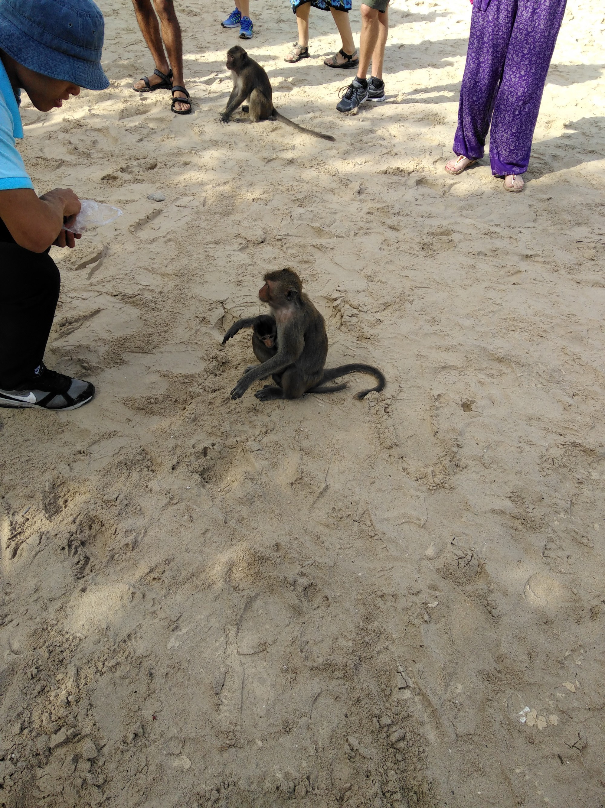 Monkey Island, near Cat Ba Island Vietnam 