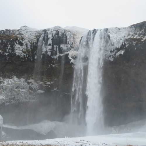 Seljalandsfos Waterfall