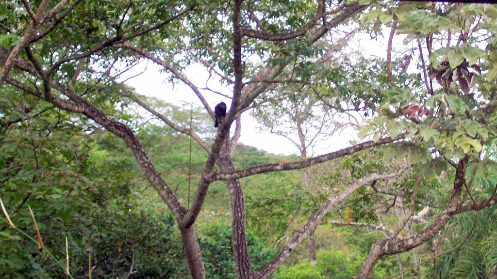 Liberia, Costa Rica