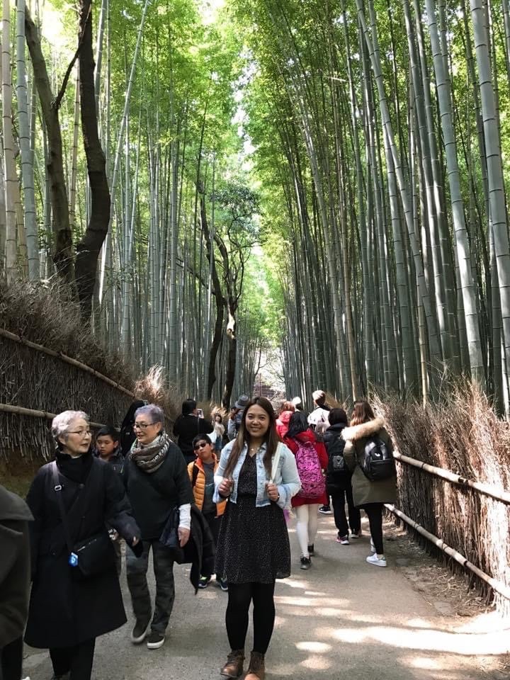 Arashiyama Bamboo Garden