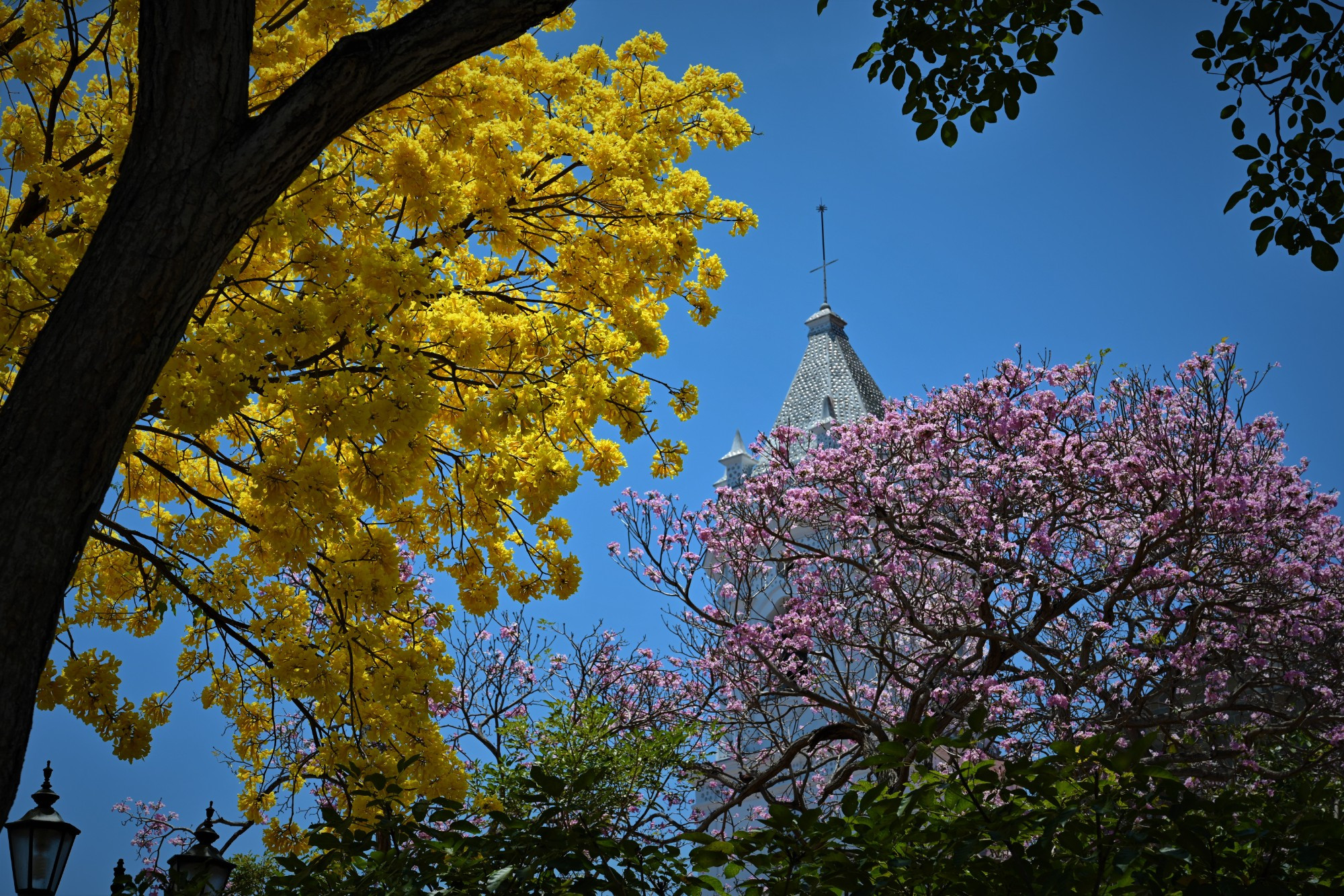 Panama