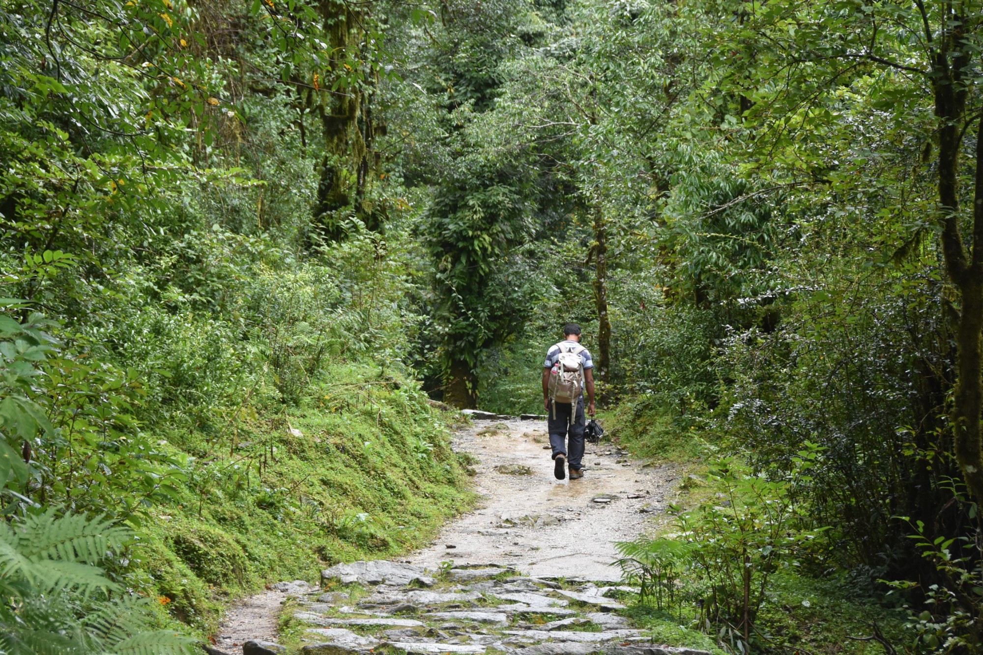 Nepal