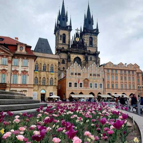 Czech Republic