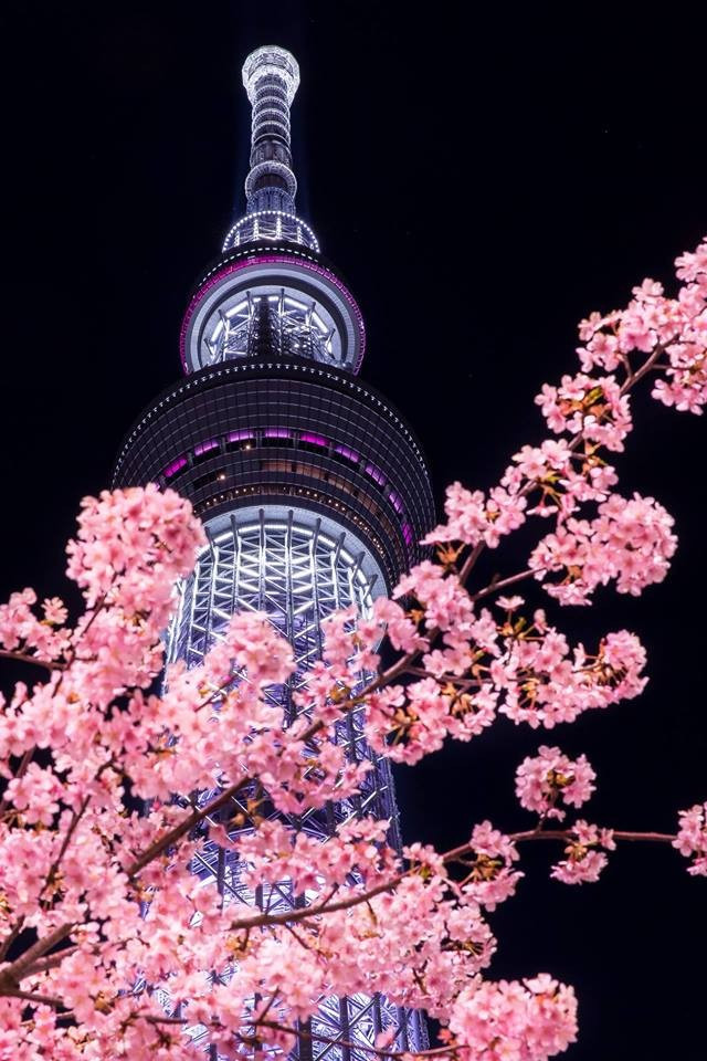 Japan