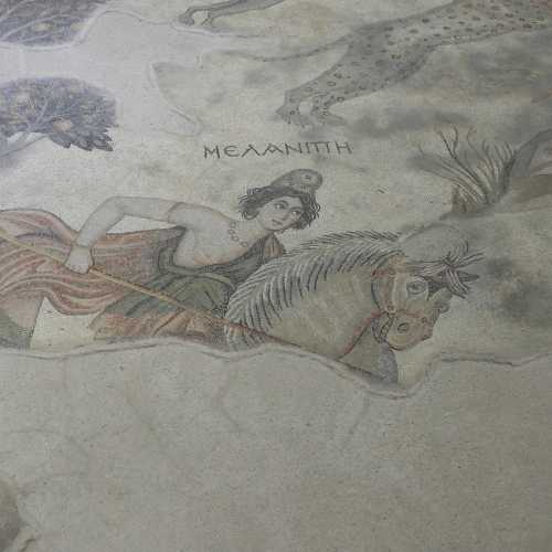 Sanlıurfa Haleplibahçe Mosaic Museum, Турция