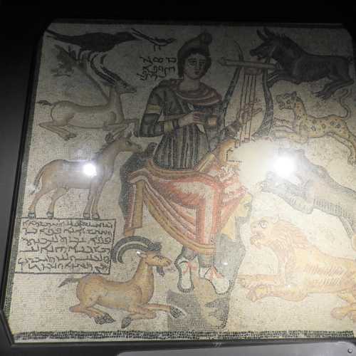 Sanlıurfa Haleplibahçe Mosaic Museum