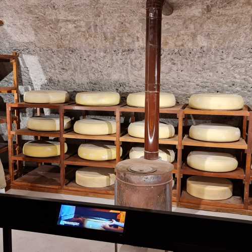 Cheese curing