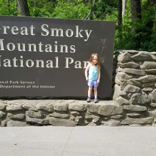 Great Smoky Mountains National park, United States