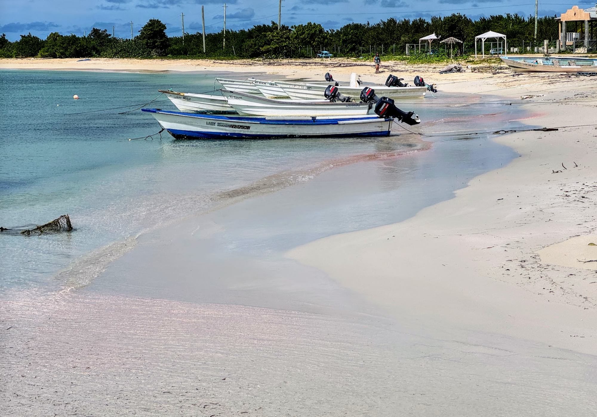 pink sand beach, Antigua and Barbuda